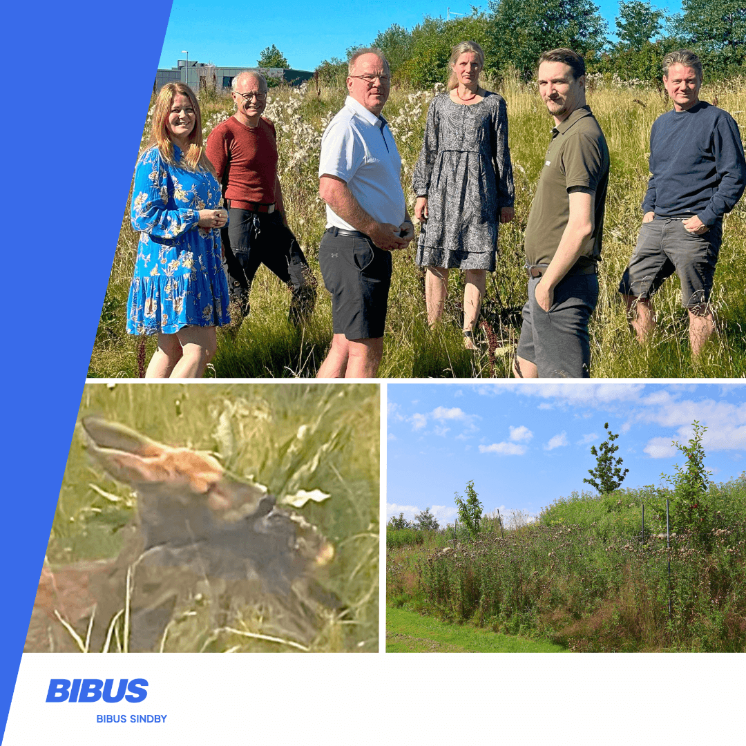 Biodiversitet 2025