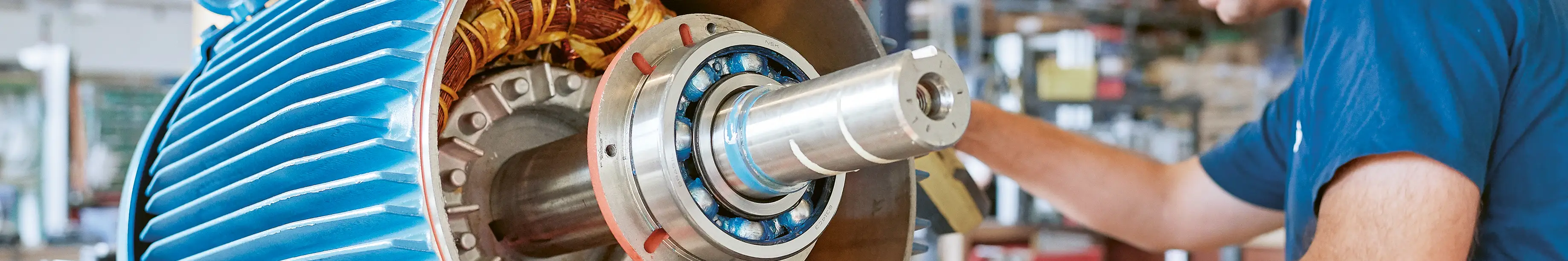 general_bibus_brochure-15